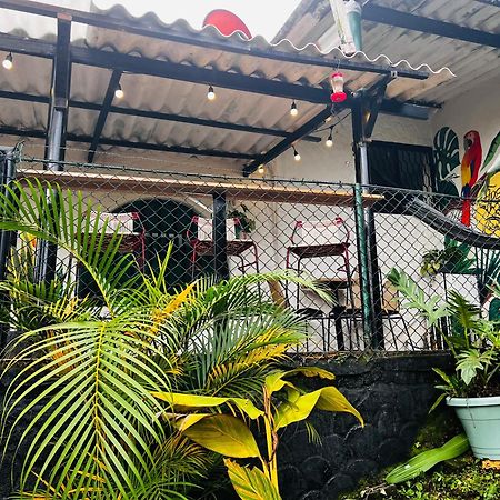 Casa Blanca Hostal Minca Bagian luar foto